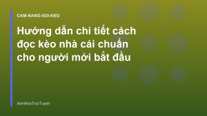 Read more about the article Hướng dẫn chi tiết cách đọc kèo nhà cái chuẩn cho người mới bắt đầu